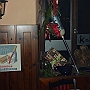 Bild (128)